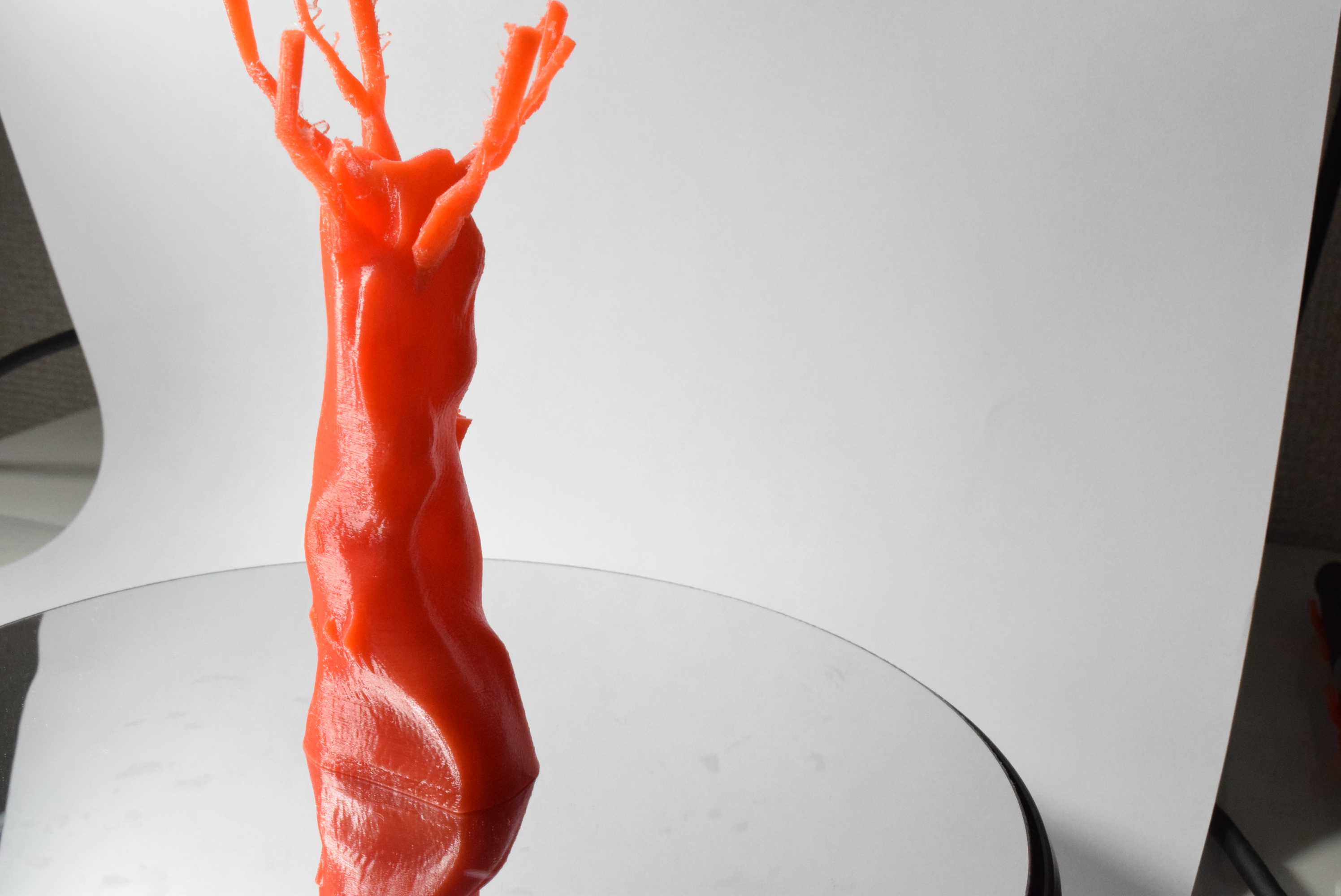 3D Print | The Ancient Tree Model 3D Printed and Tested