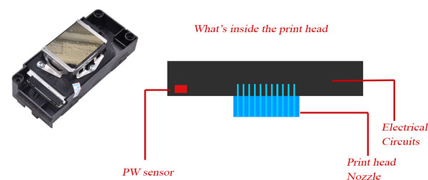 print head circuit