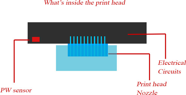 print head cleaning solution